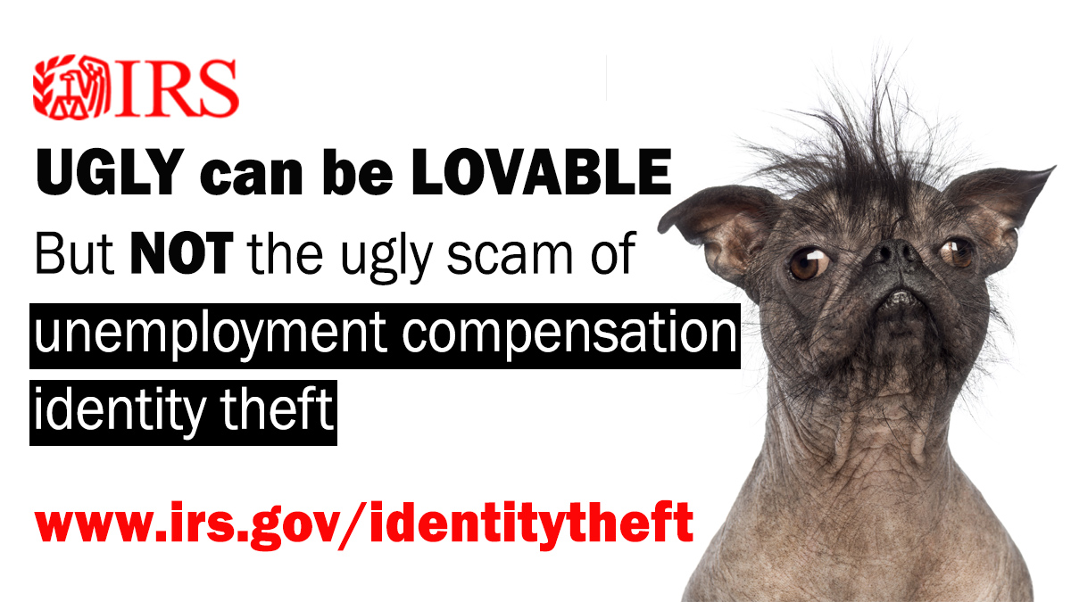 Ugly can be lovable, but not the ugly scan of unemployment compensation identity theft